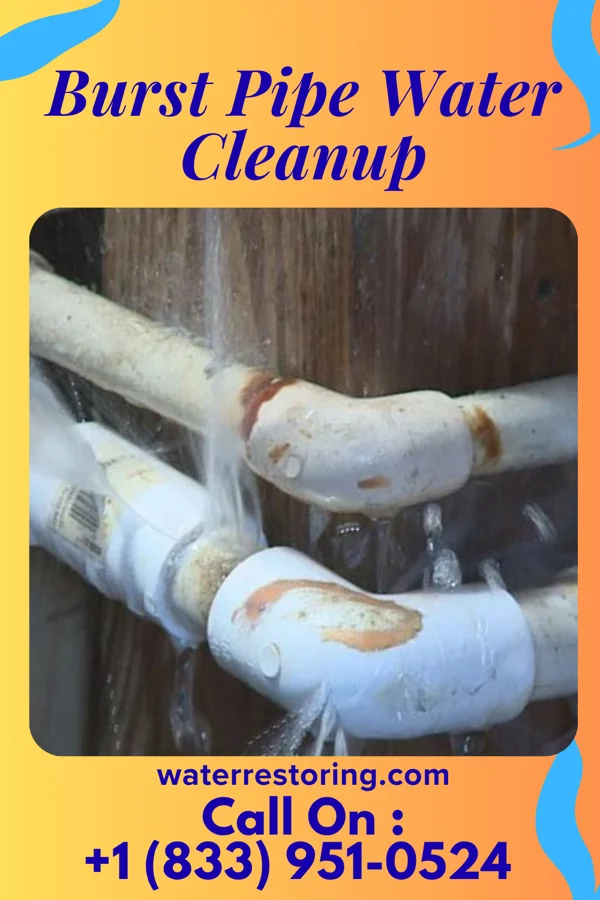 Burst Pipe Water Cleanup in Bruce, MS