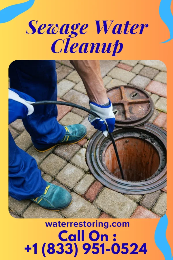 Sewage Water Cleanup in Bruce, MS