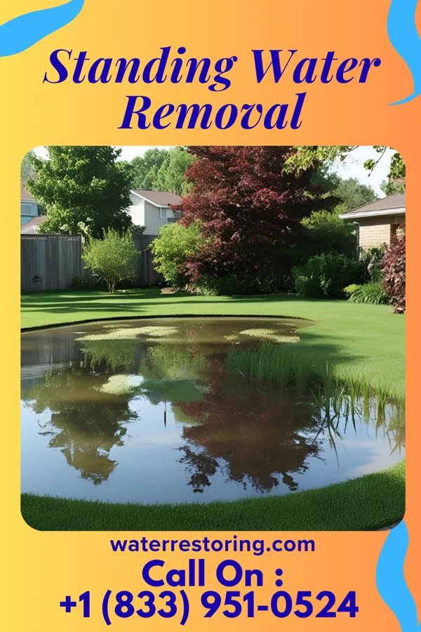 Standing Water Removal in Bruce, MS